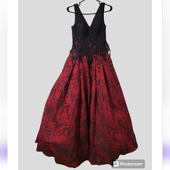 Bicici & Coty Gown - Picture 2 of 6